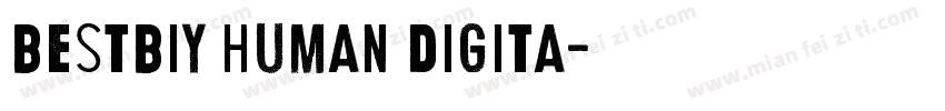 BestBiy human digita字体转换